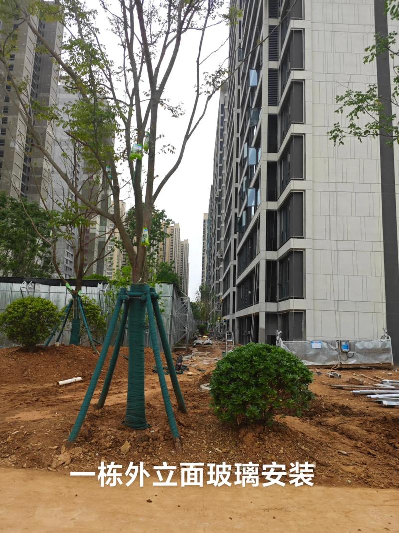 光谷中央公園園林綠化工程施工進(jìn)展順利，打造生態(tài)休閑新地標(biāo)