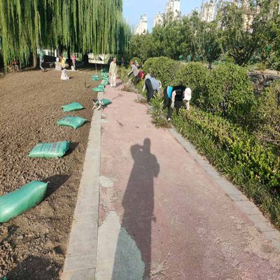 種植營(yíng)養(yǎng)土 園林綠化工程的基石——從2kg/袋的細(xì)節(jié)到多年施工經(jīng)驗(yàn)