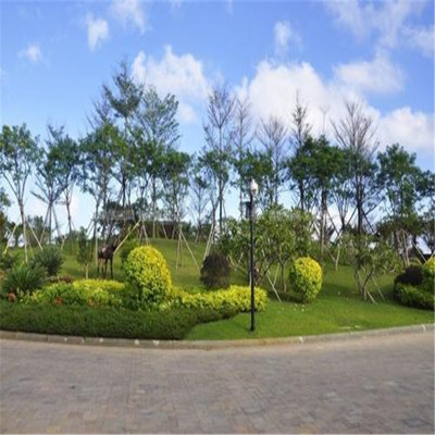 東城園林景觀綠化施工隊(duì) 專業(yè)打造生態(tài)宜居環(huán)境