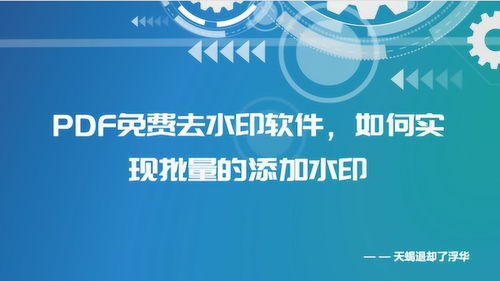 PDF水印免費去除軟件、批量添加水印方法及化妝品行業PDF水印制作教程