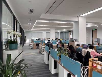 成都辰堅信息咨詢在化妝品行業(yè)中的服務與應用